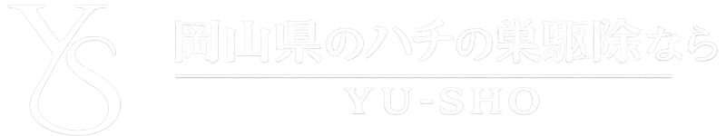 SAMPLE COMPANY